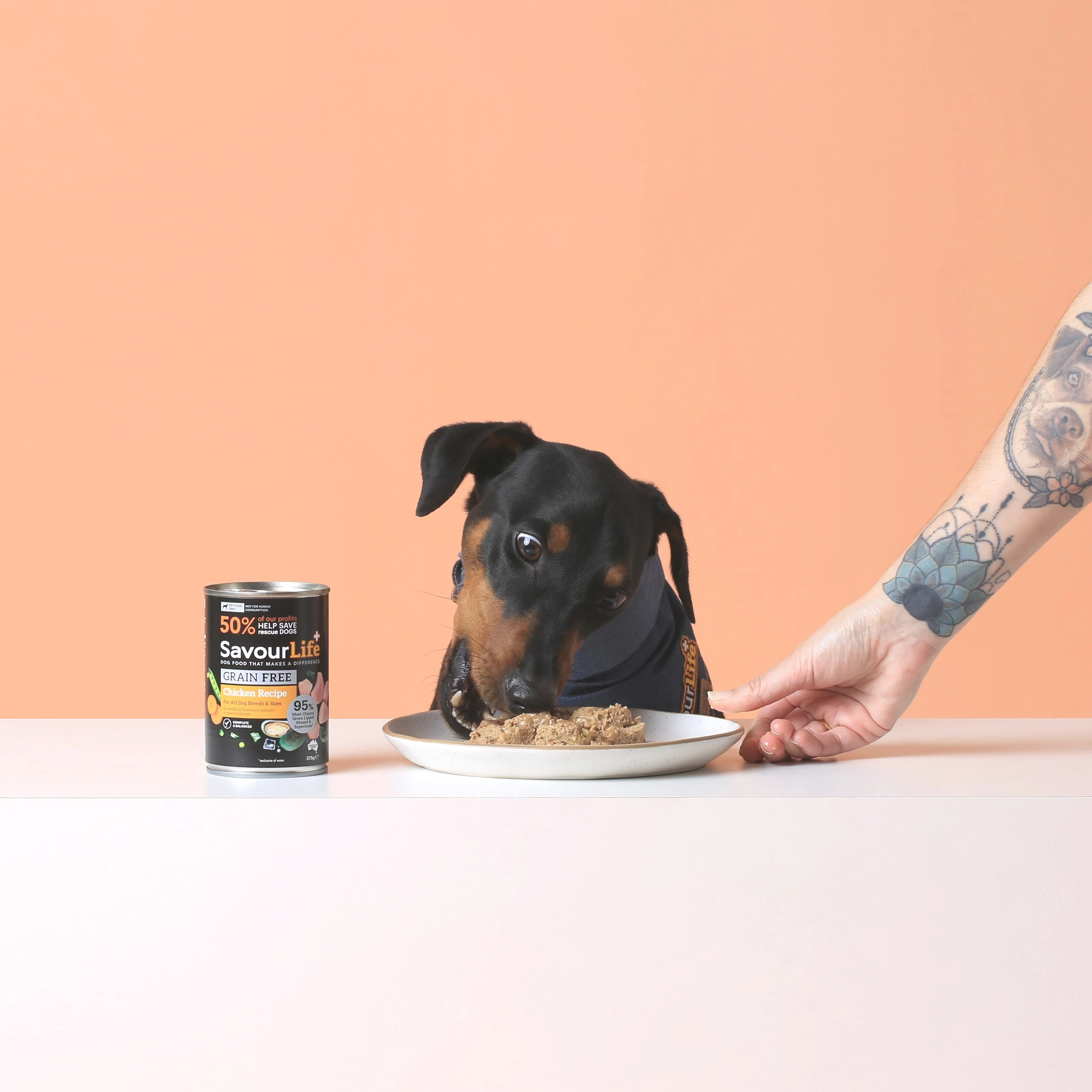 Savourlife Grain Free Chicken Adult Dog Wet Food 375g X12 - Image 4