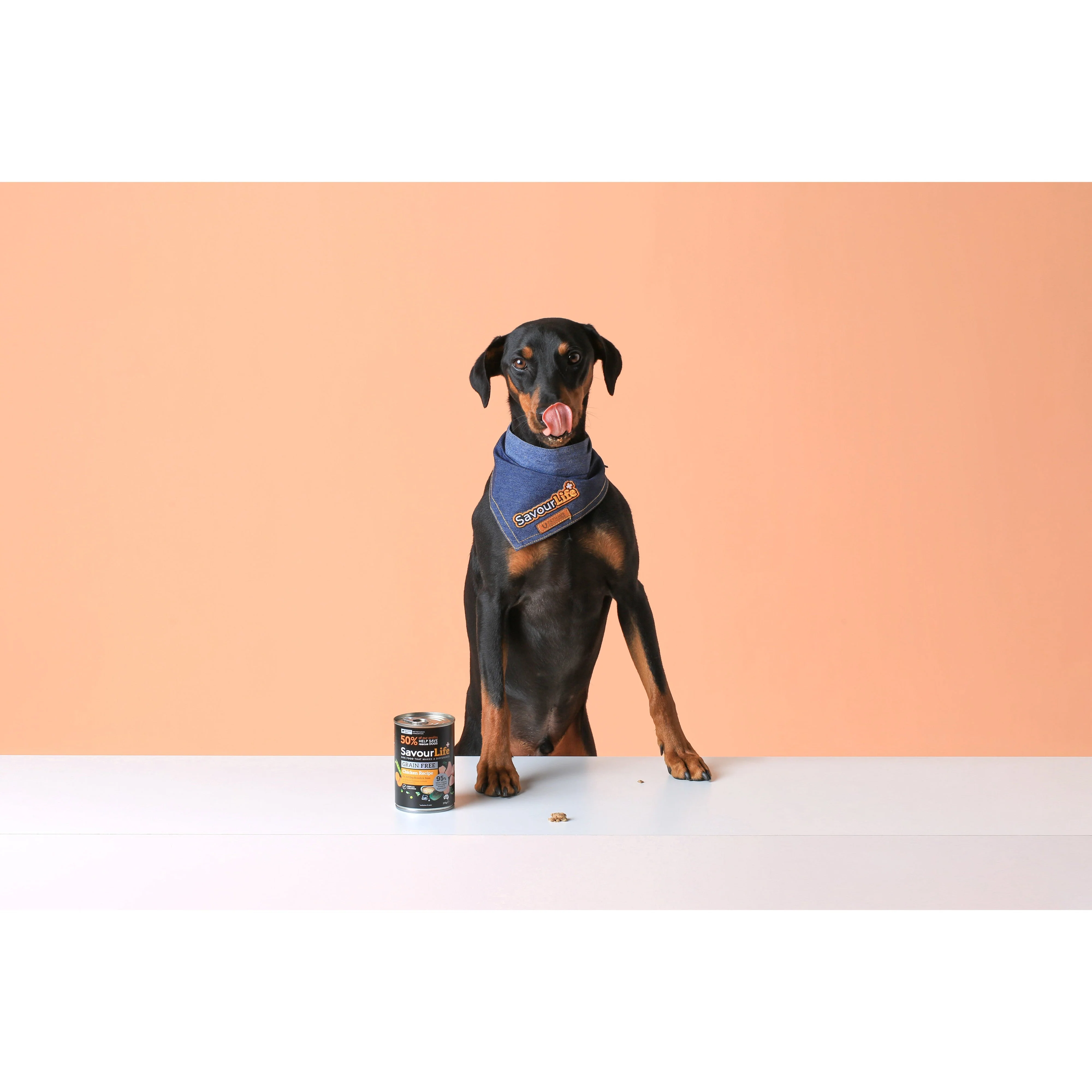 Savourlife Grain Free Chicken Adult Dog Wet Food 375g X12 - Image 5
