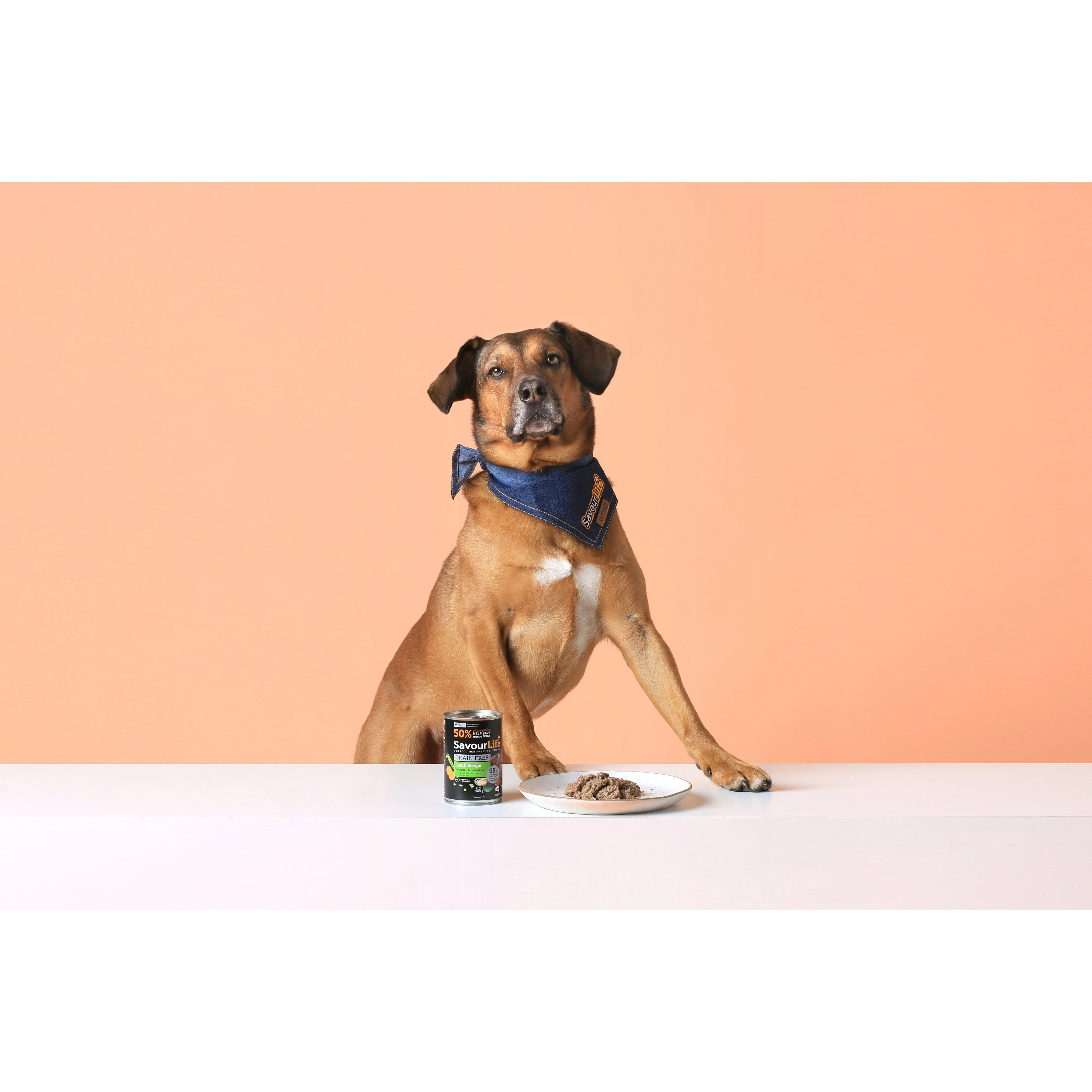 SavourLife Grain Free Lamb Adult Dog Wet Food 375g X12 - Image 4