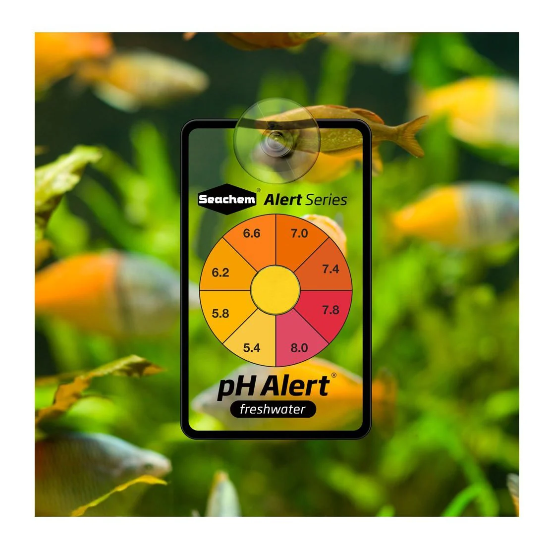 Seachem Alerts Combo Pack - Image 2