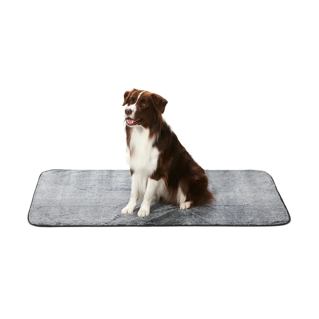 Snooza Dry Luxe Pet Blanket Small - Image 2