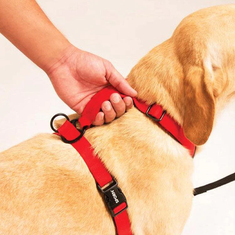 Sporn Ultimate Control Harness Black Medium* - Image 3