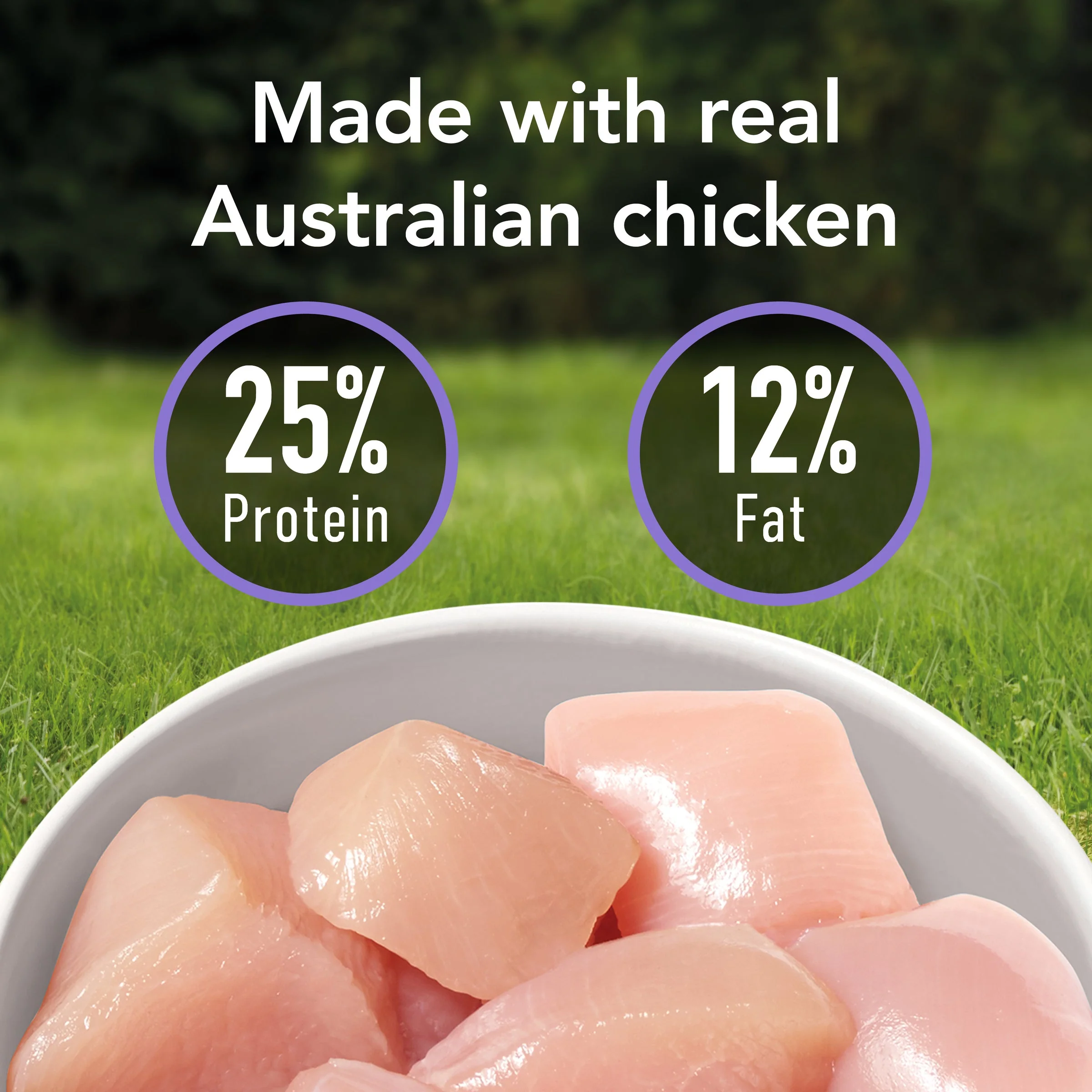Supercoat Chicken Small Breed Adult Dry Dog Food 2.8kg - Image 3