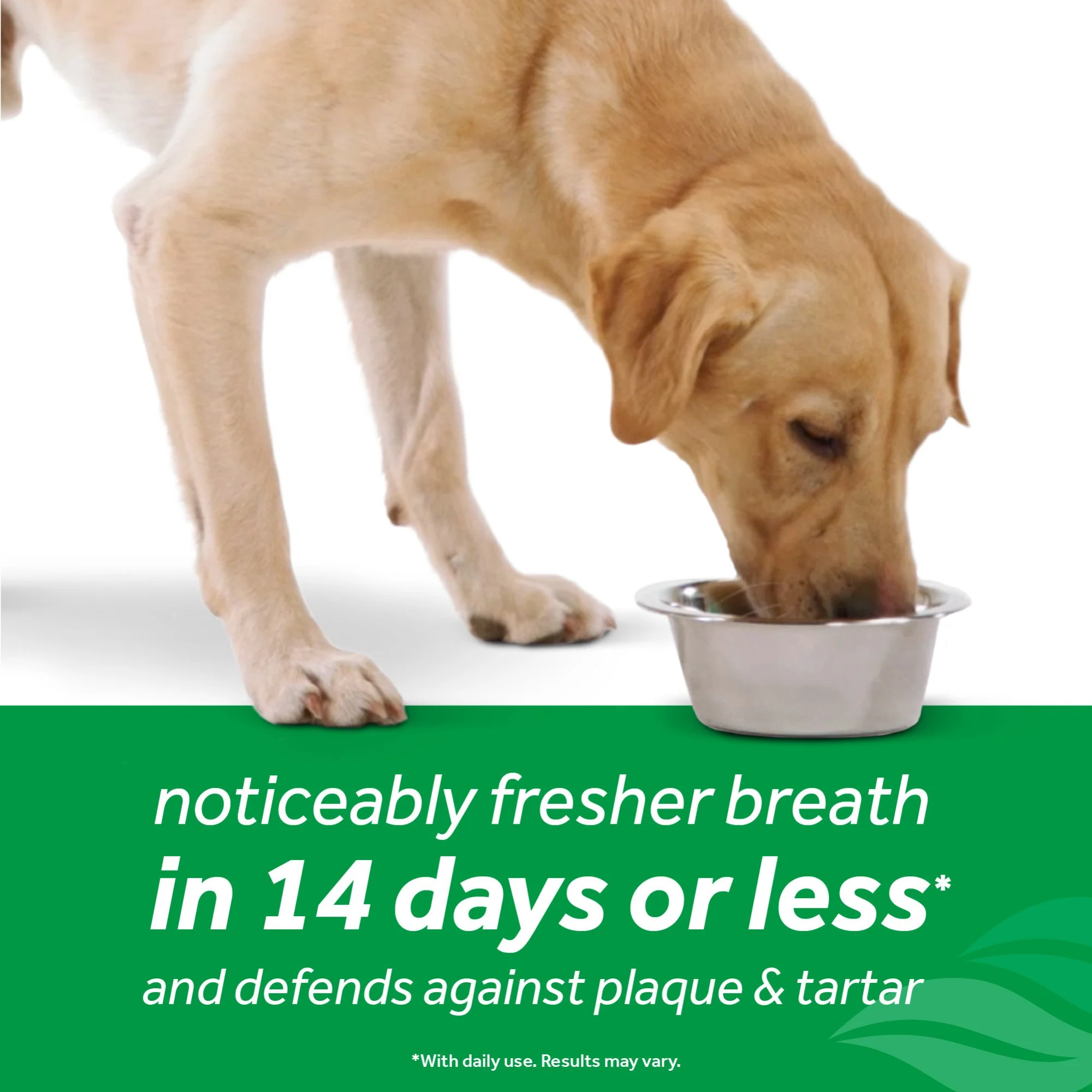 Tropiclean Fresh Breath Oral Care Additive 473ml - Image 4