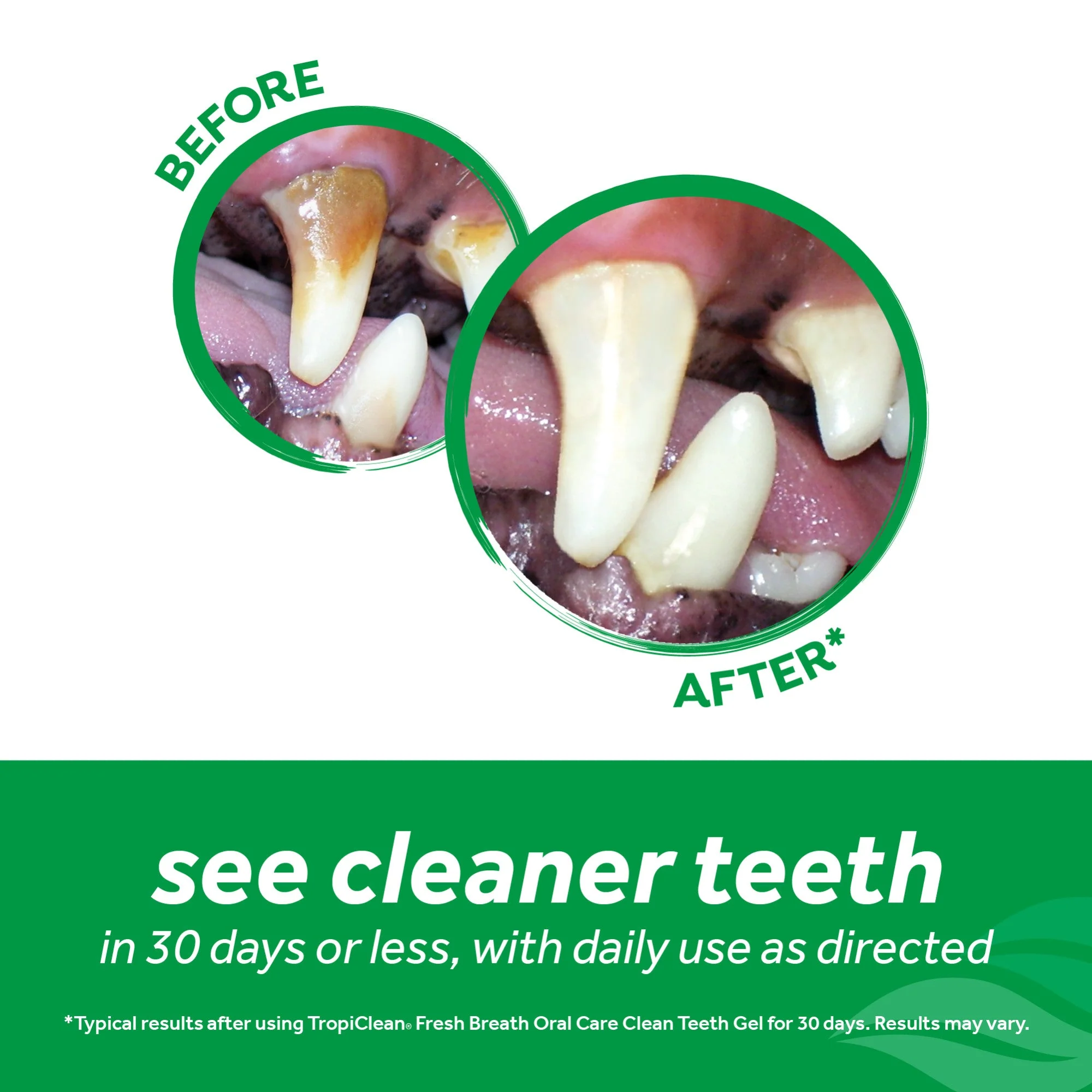 Tropiclean Fresh Breath Clean Teeth Gel 59ml - Image 3