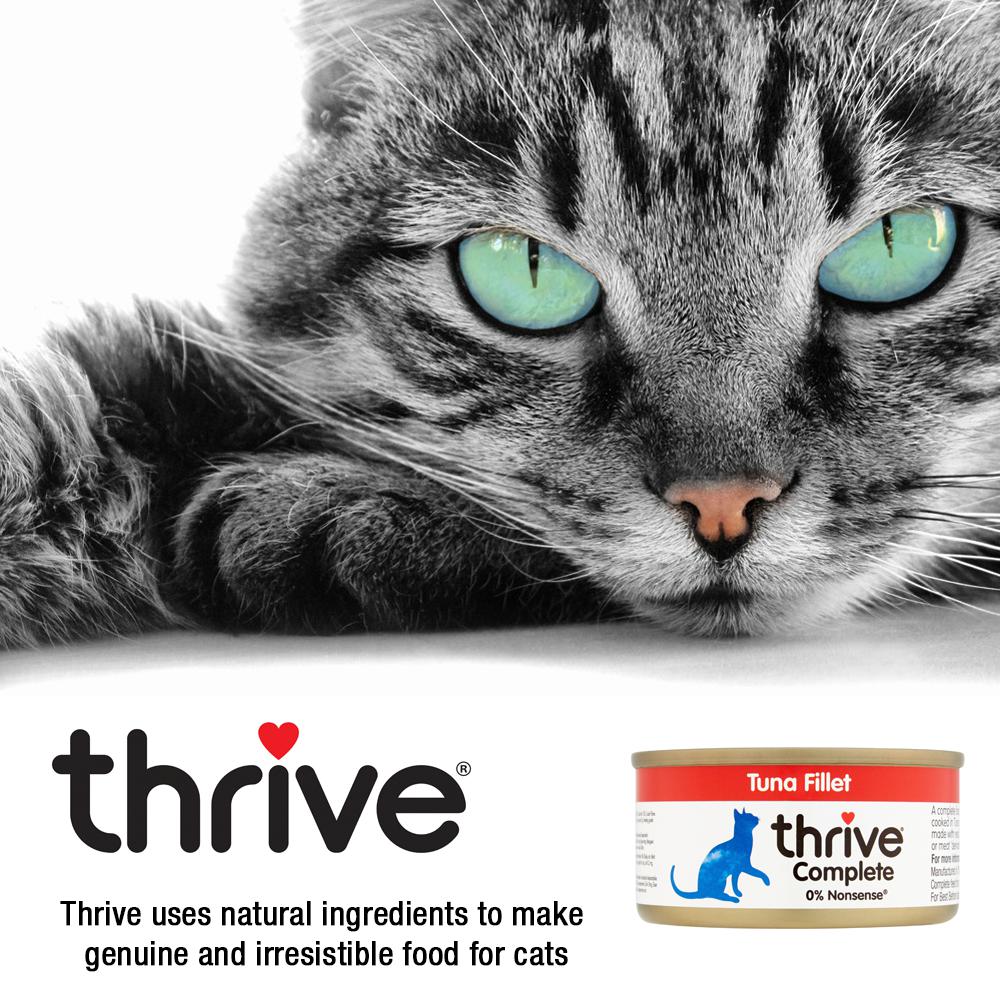 Thrive Ocean Fish Wet Cat Food 75g x 12 - Image 6