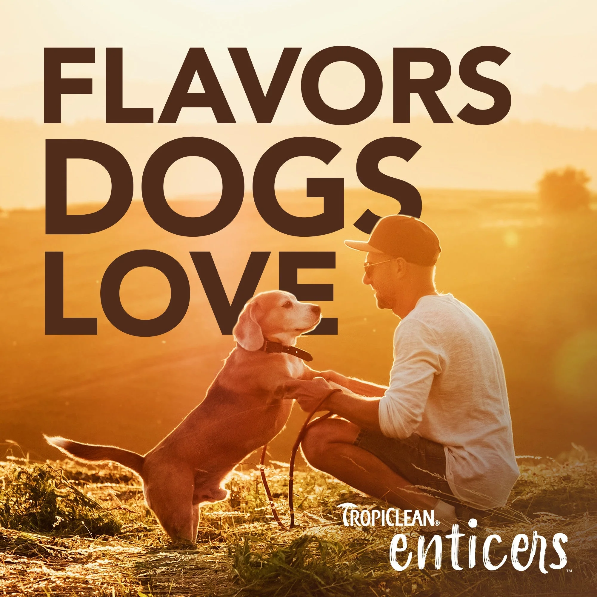 Tropiclean Enticers Fresh Breath Clean Teeth Gel Honey Marinated Chicken for Dogs 59ml - Image 8