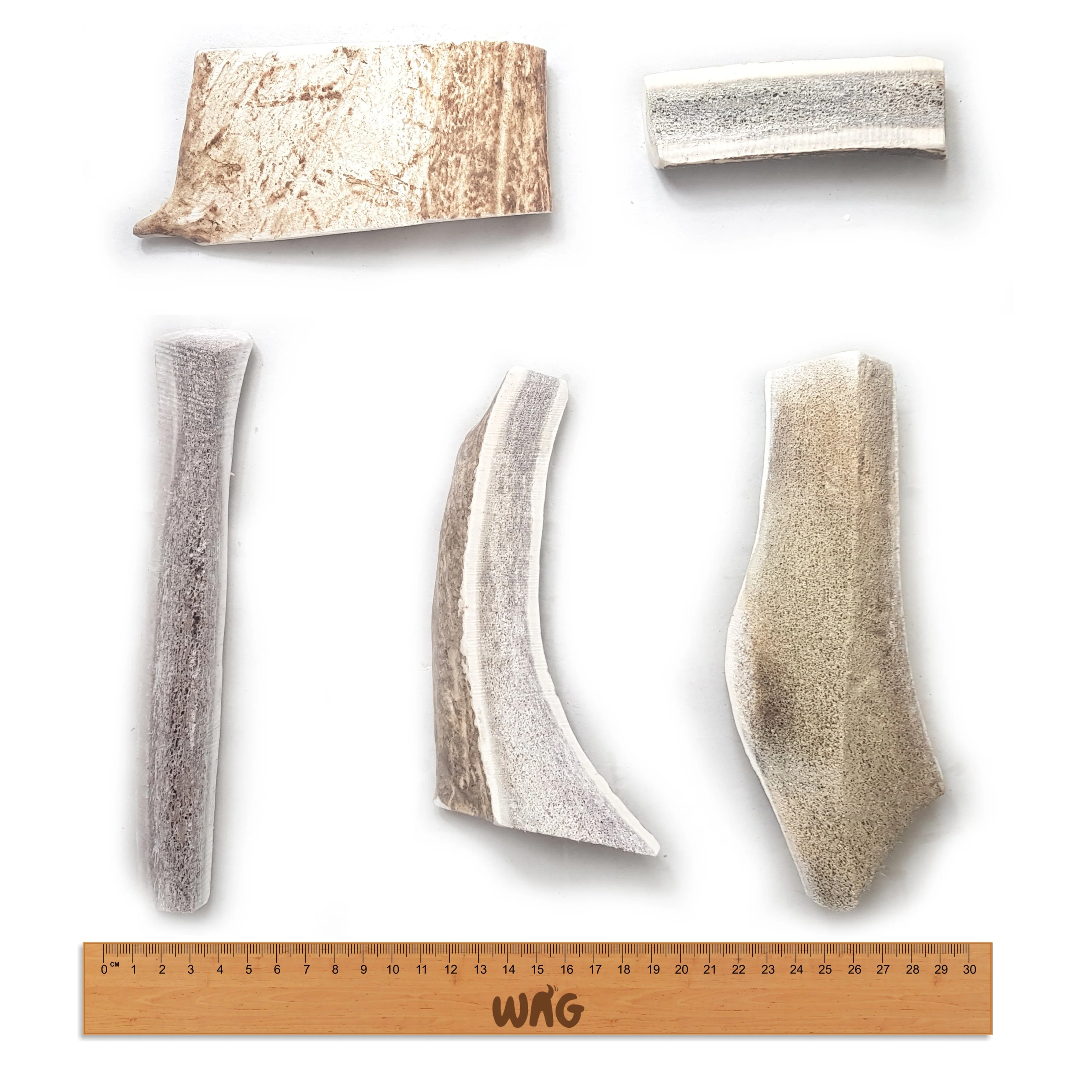 Wag Split Antler Small Dog Chew Treat - Image 3