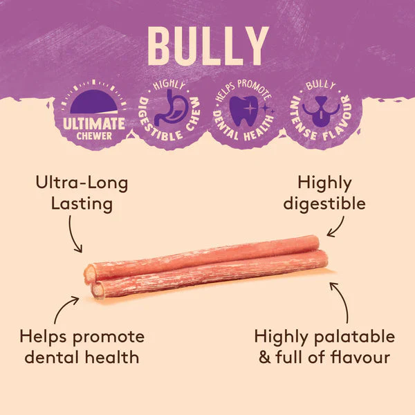Wag Bully Stick Regular Dog Chew Treat - Image 2