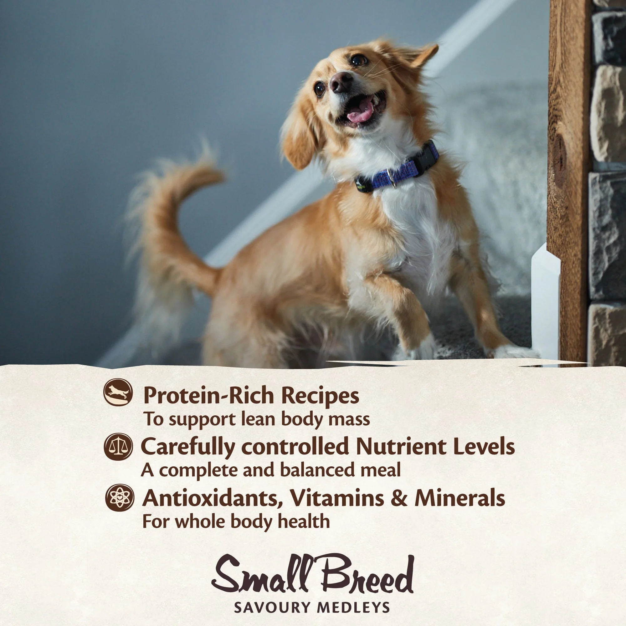Wellness CORE Savoury Medleys Chicken, Duck, Peas and Carrots Wet Small Dog Food 85g - Image 7