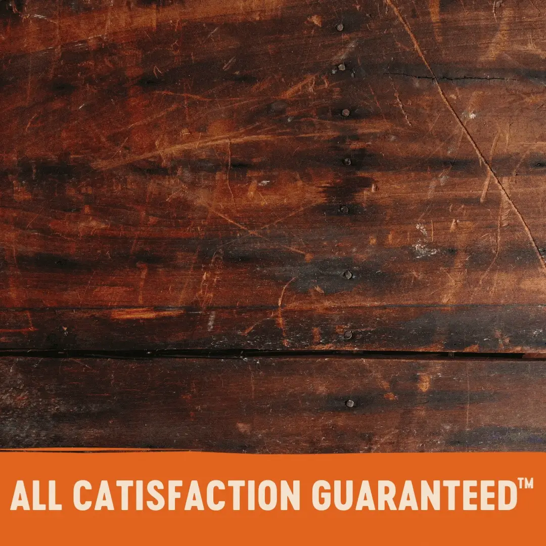 Wellness CORE Signature Selects Paté Chicken and Beef Entrée Wet Cat Food 79g x 12 - Image 8