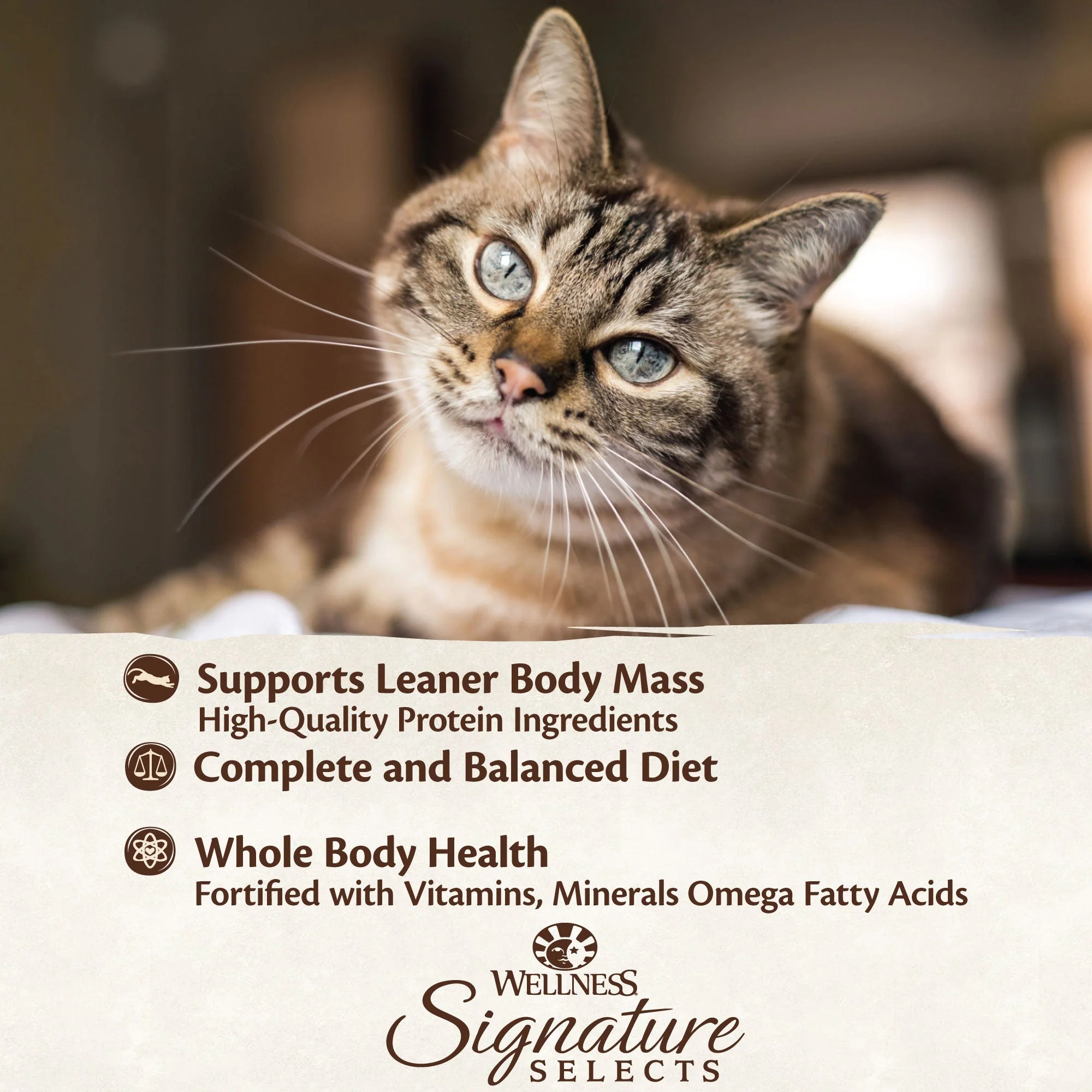 Wellness CORE Signature Selects Paté Skipjack Tuna Entrée Wet Cat Food 79g - Image 10