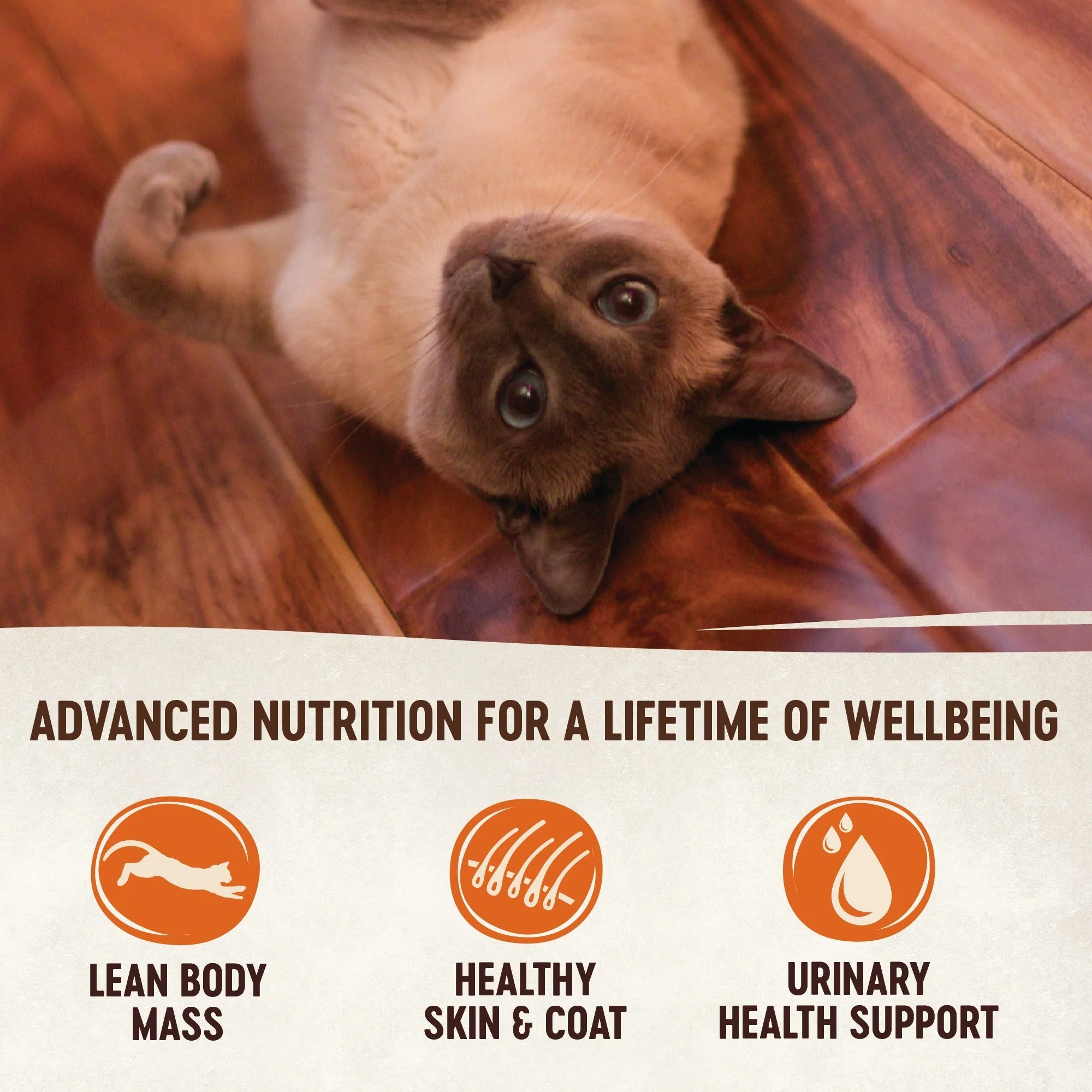 Wellness CORE Signature Selects Shredded Chicken and Chicken Liver Entrée Wet Cat Food 79g x 12 - Image 6