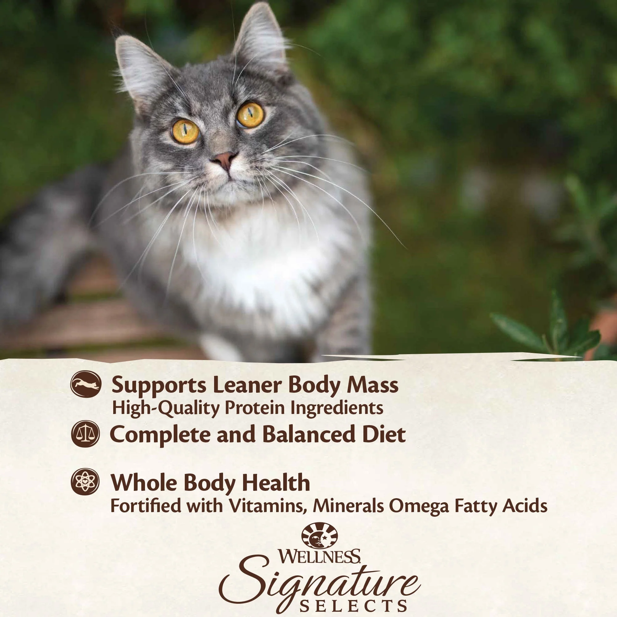 Wellness CORE Signature Selects Shredded Chicken and Chicken Liver Entrée Wet Cat Food 79g x 12 - Image 8