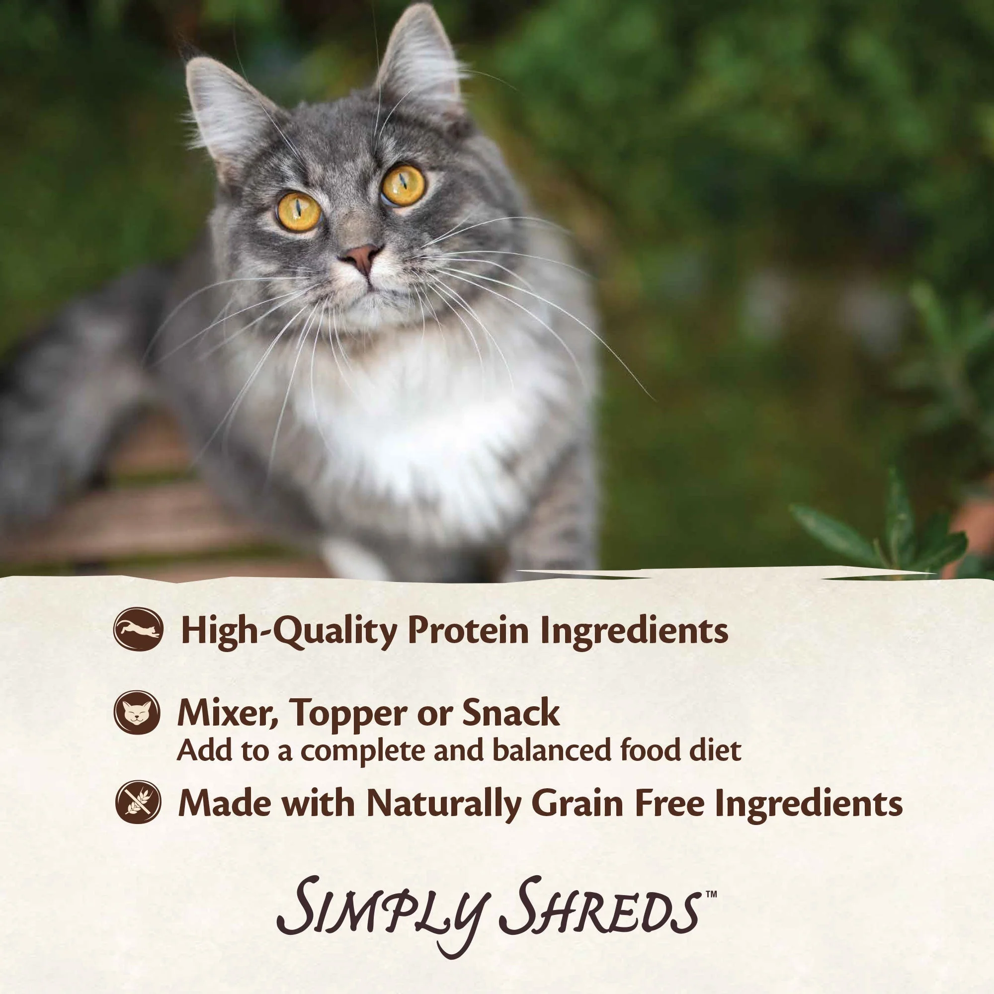 Wellness CORE Simply Shreds Flaked Tuna and Shrimp Recipe Wet Cat Food 50g x 12 - Image 9