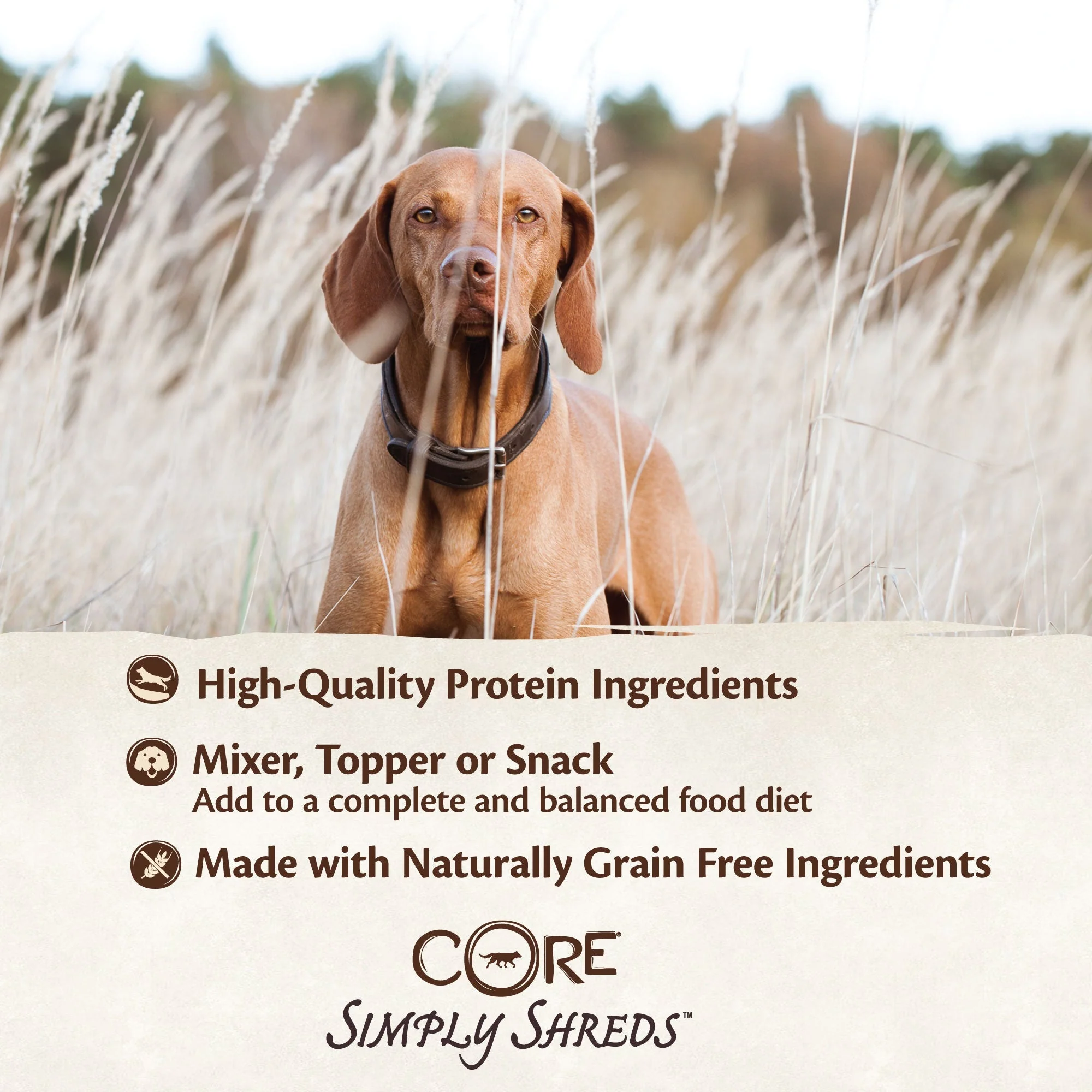 Wellness CORE Simply Shreds Shredded Chicken, Beef and Carrots Wet Dog Food 79g - Image 9