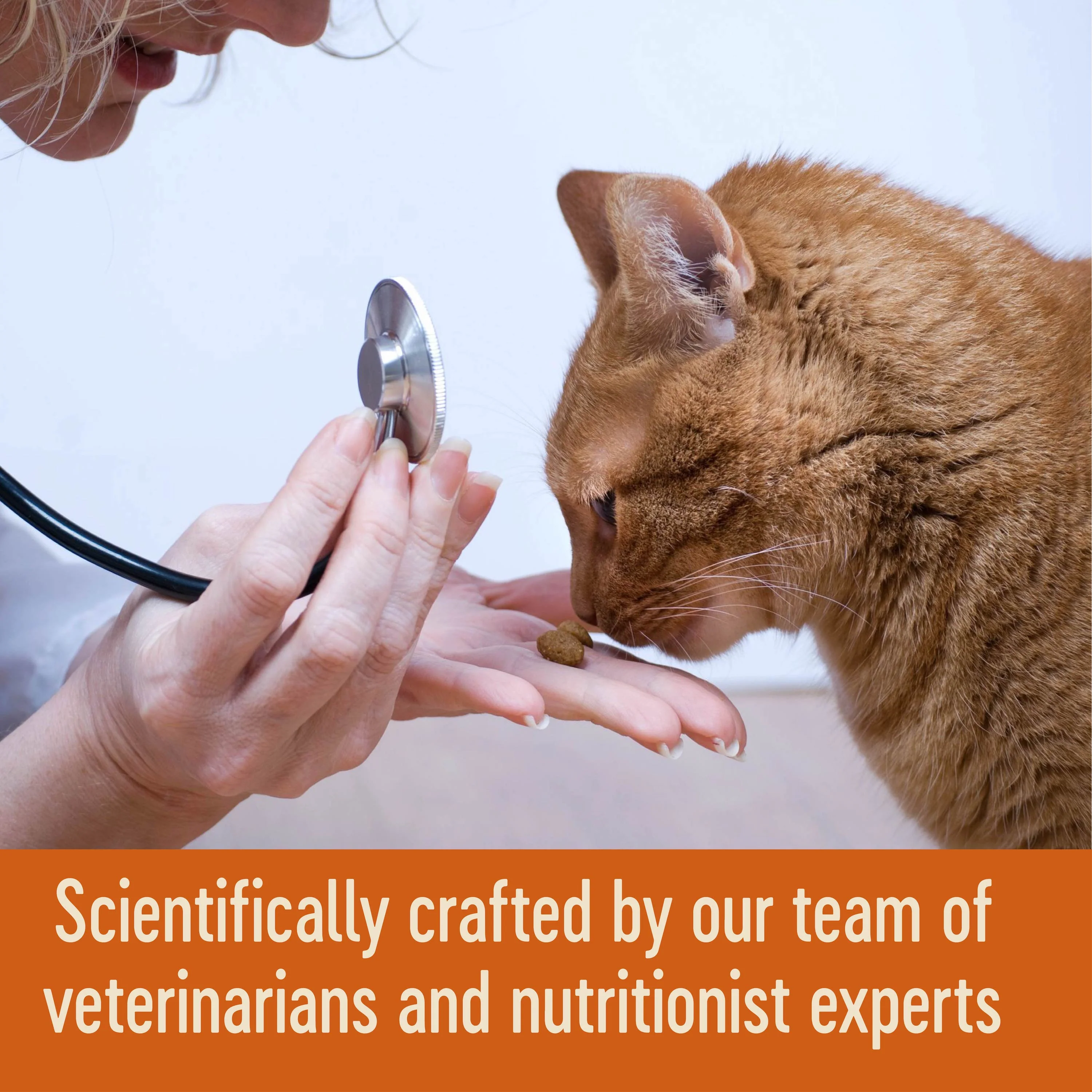 Wellness CORE Tender Cuts with Chicken and Chicken Liver in Gravy Wet Cat Food 85g x 8 - Image 7