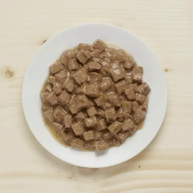 Wellness CORE Tender Cuts with Chicken and Salmon in Gravy Wet Cat Food 85g x 8 - Image 3