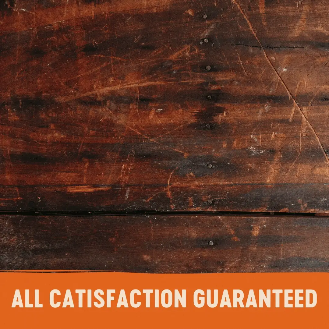 Wellness CORE Tender Cuts with Salmon and Tuna in Gravy Wet Cat Food 85g x 8 - Image 8