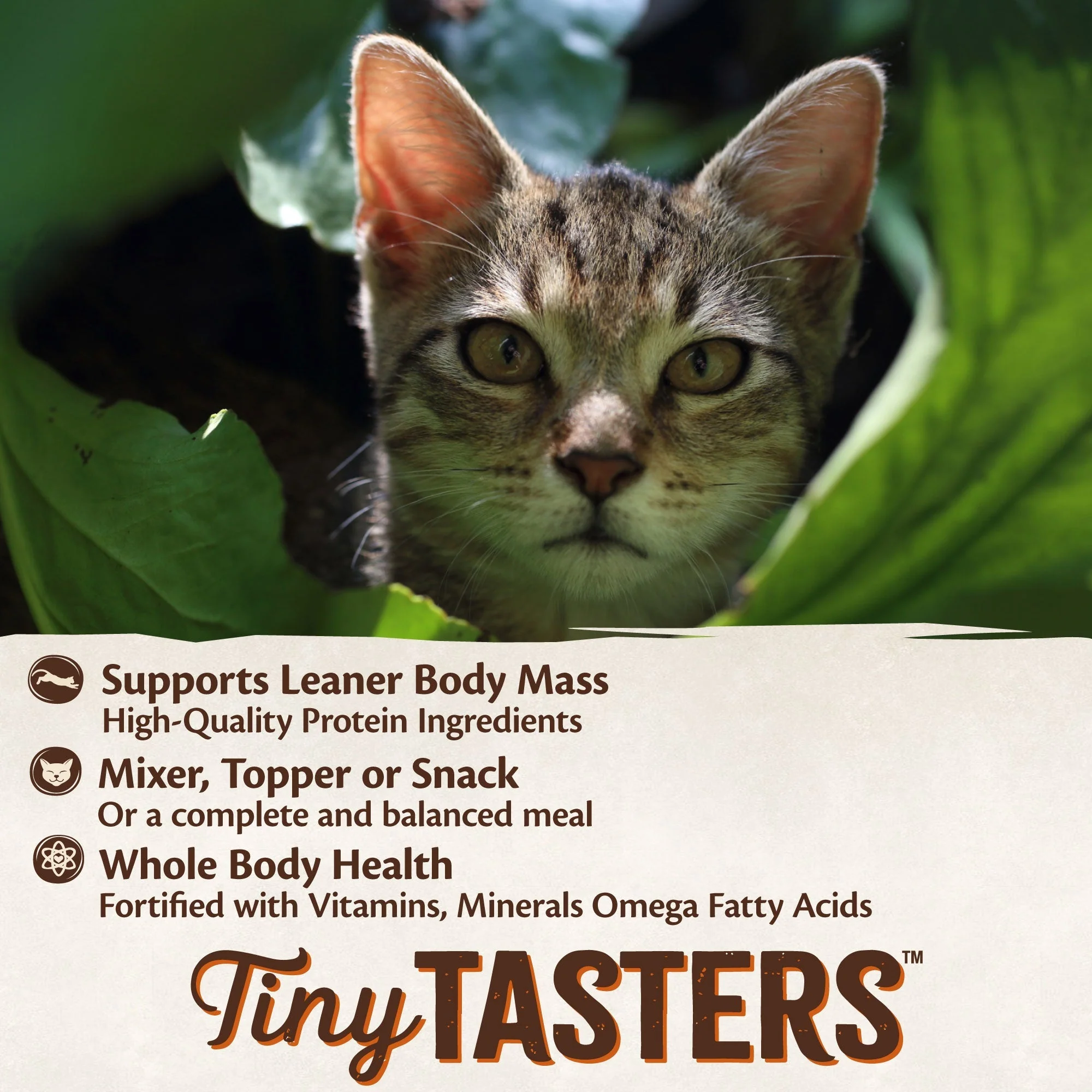 Wellness CORE Tiny Tasters Tuna Paté Wet Cat Food 50g - Image 8