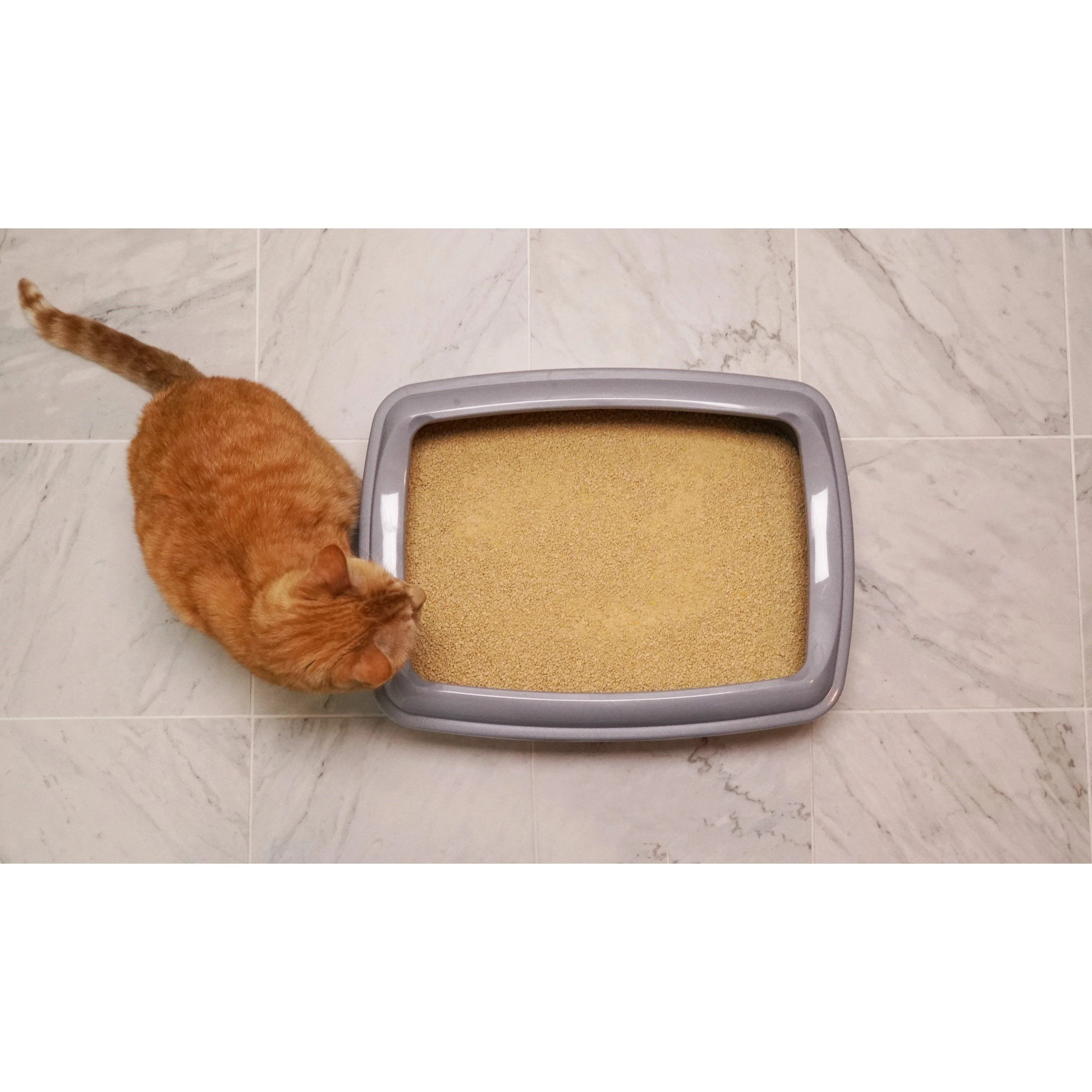 Worlds Best Lavender Scented Clumping Cat Litter 12.7kg - Image 5