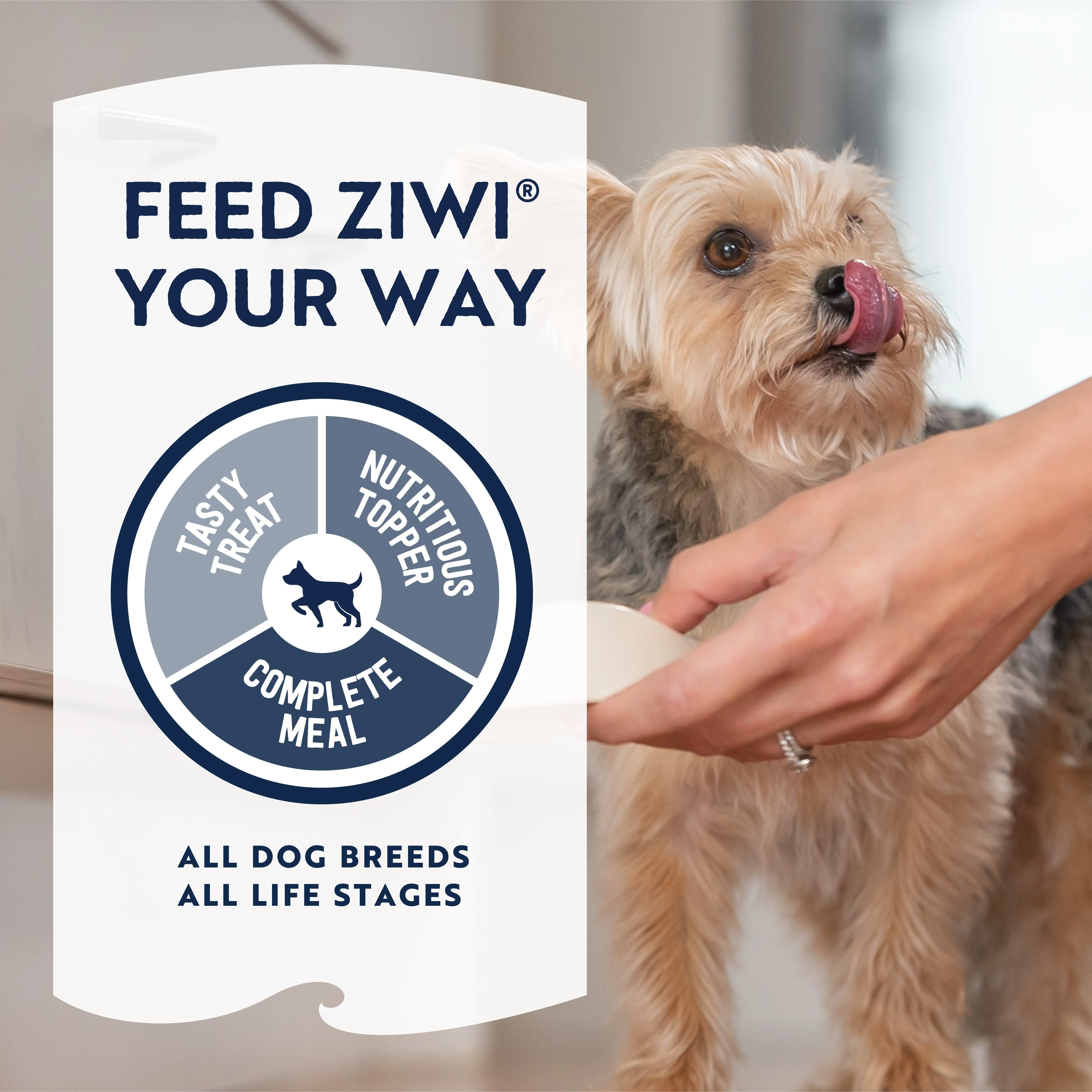 ZIWI Peak Air Dried Mackerel and Lamb Recipe Dog Food 4kg - Image 7