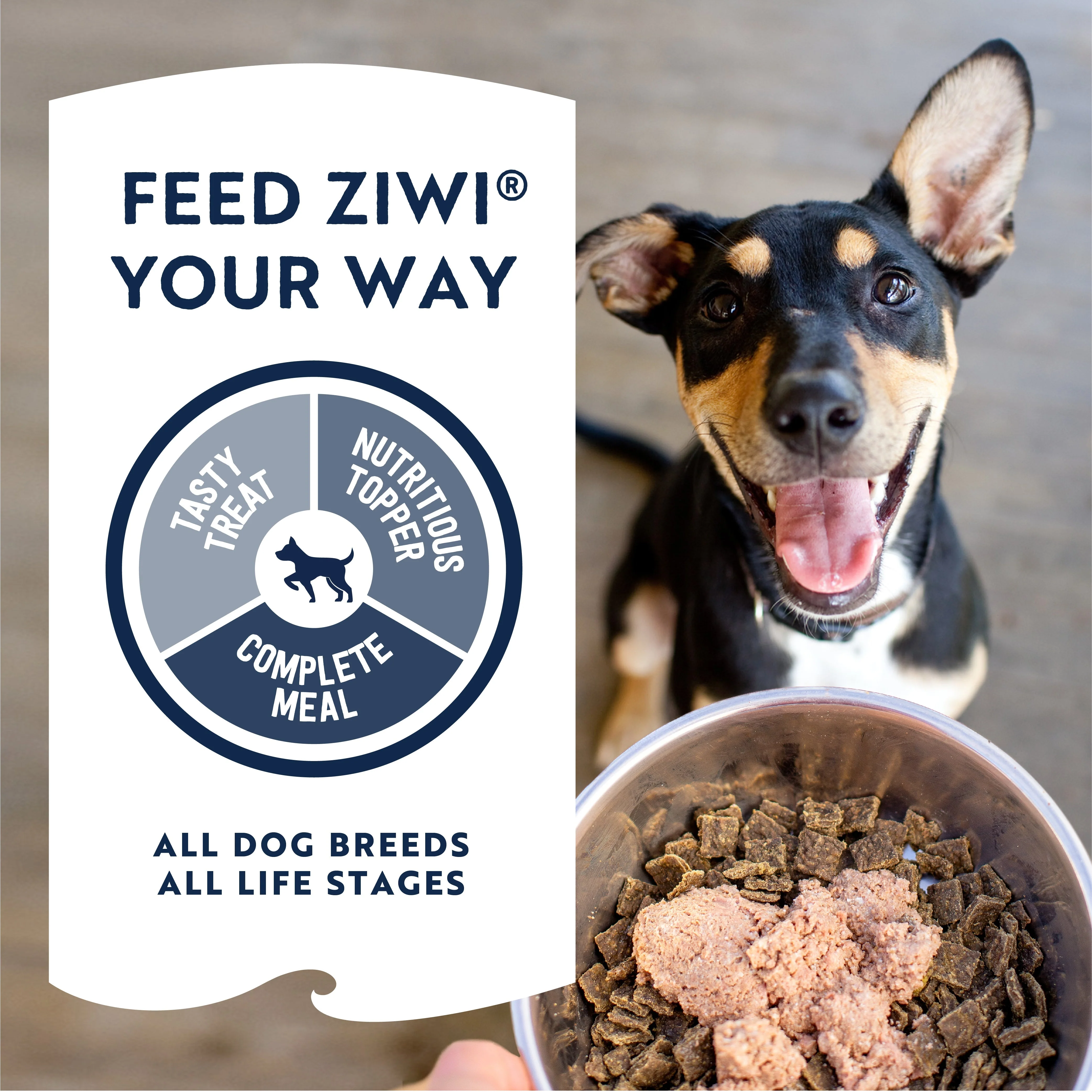ZIWI Peak Wet Lamb Recipe Dog Food 390g x 12 - Image 7