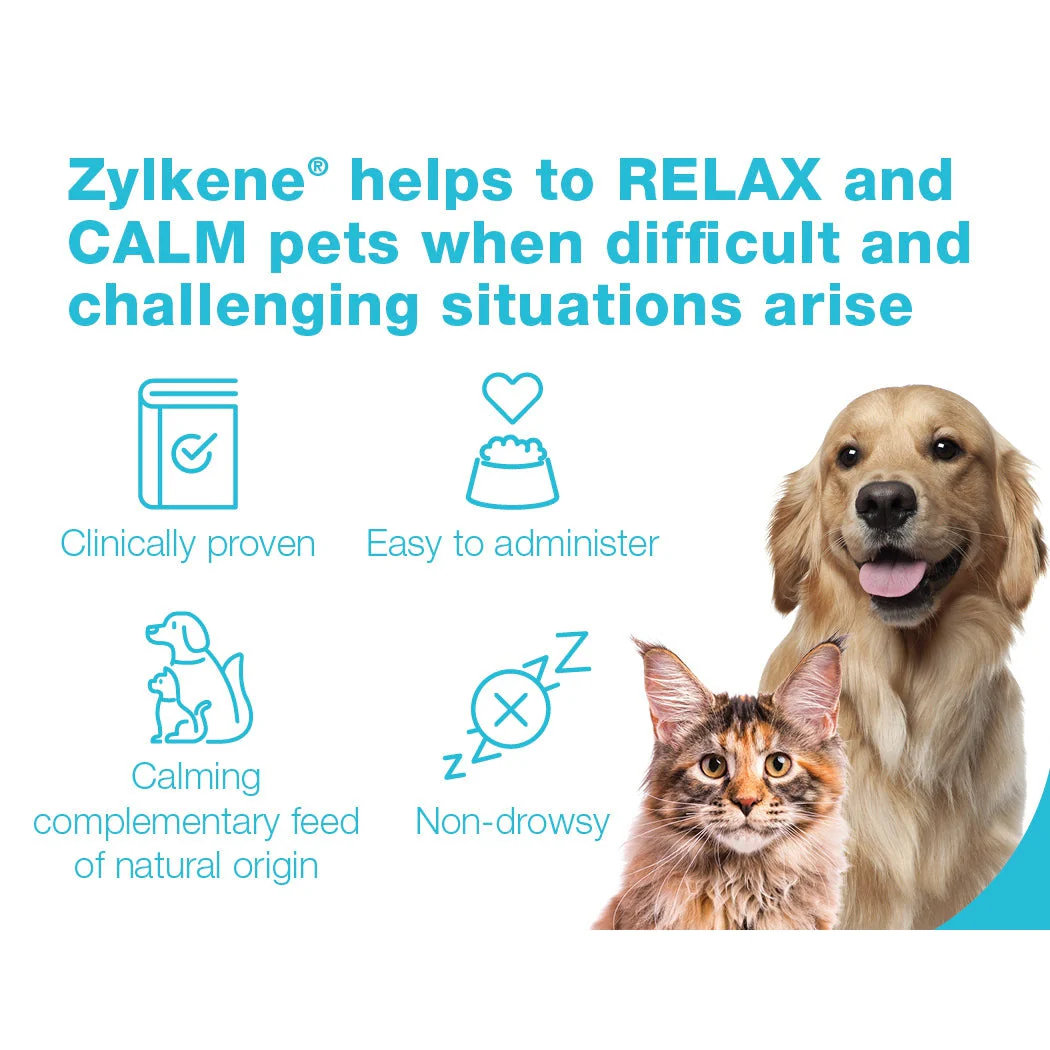 Zylkene Calming Chews for Large Dogs 450mg 14 Pack - Image 3