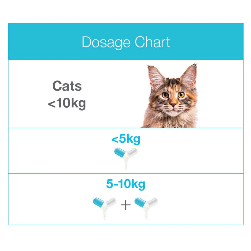 Zylkene Calming Supplement for Small Dogs and Cats 75mg - Image 4